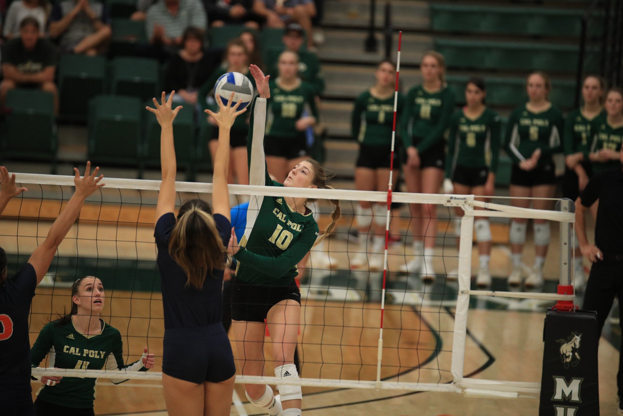 Cal Poly Volleyball on Twitter "CSF takes the opening game, 2519