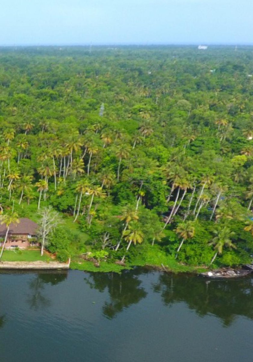 zainholidays's tweet photo. منتجع كيرلا 
Udaya Backwater Resort Aleppy 
للحجز والاتسفسار ٠٠٩١٩٠٧٢٠٦٤٤٥٥
info@zainholidays.com
https://t.co/bBK1YVpOlm

#عطالات #فنادق #منتحع #سياحة #كيرلا #الهند #سريلانكا #كشمير #نيبال #مونار https://t.co/WpZVKsZDLH