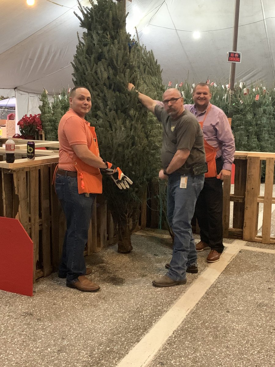 byland_mary's tweet image. This tree was just as big as it was beautiful!  #TreeTent Saturday morning 8444 
@dmitriyshevc1 @JerryKe47801308 @JonathanRiosTHD