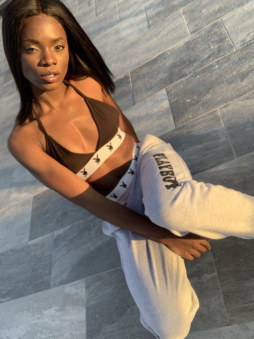 1 pic. ? @playboy X @Missguided  ?. Count the bunnies ? https://t.co/uhXdHgiezn