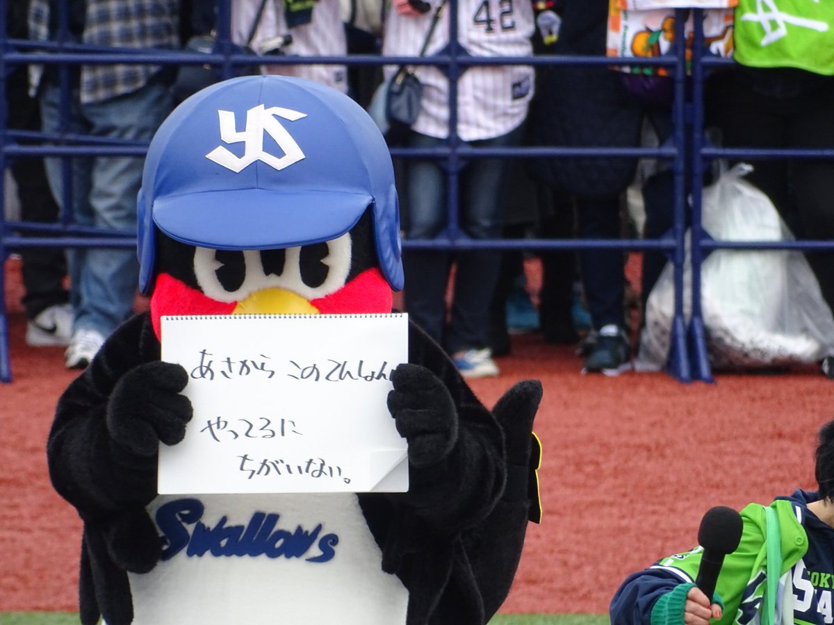 東京ヤクルトスワローズ 春季キャンプ2019 うらそえナビ