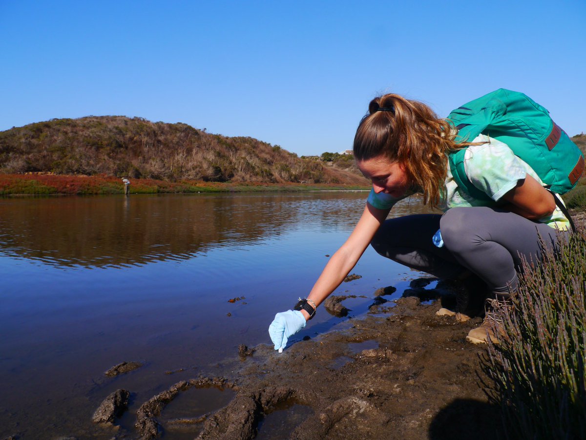 HayHuds's tweet photo. Today @ESA_SEEDS Davis Chapter collected #eDNA samples for #CALeDNA at Younger Lagoon Natural Reserve! We are working to monitor changes in biodiversity through #citizenscience! https://t.co/Fp4rU5uJzV