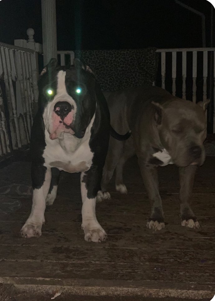 BuildABull's tweet image. Lol this happened tonight too! #FUTURE 💥🔥🔥