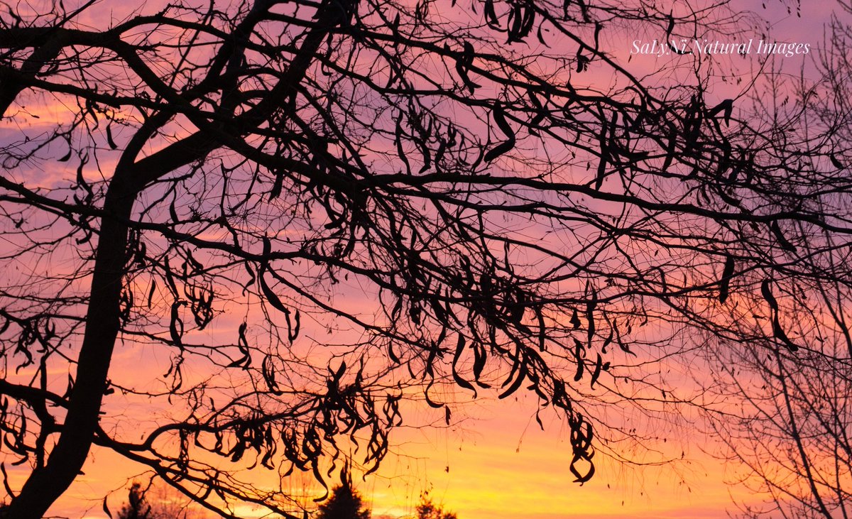 Candy-corn Sunsets and Silhouettes #skymagic
#sunsets #inlandnw #wawx
<a href="/KrisCrockerKXLY/">Kris Crocker</a> <a href="/StormHour/">#StormHour</a> 
<a href="/TheMikeEllis/">Mike Ellis</a> <a href="/ThePhotoHour/">#ThePhotoHour</a> 
<a href="/wearespokane/">#WeAreSpokane</a> <a href="/NWSSpokane/">NWS Spokane</a>
