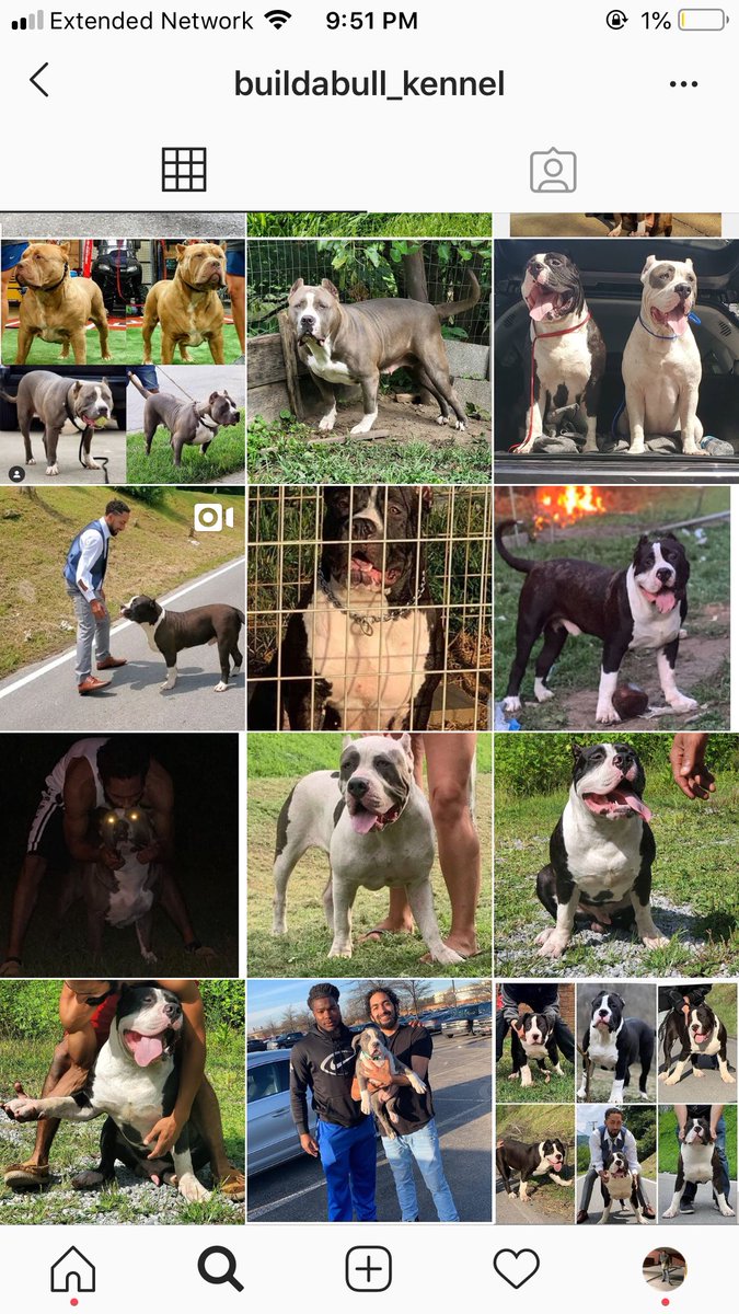 BuildABull's tweet image. If you haven’t already go follow my Instagram  👀