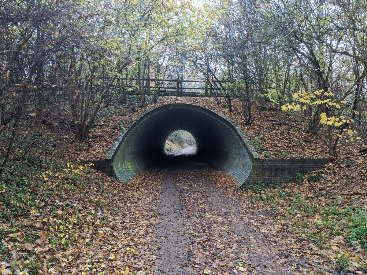 7/ The A29 now passes over the site of the former Slinfold Station. Or at least just behind this spot.