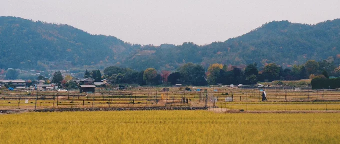 kyoto 