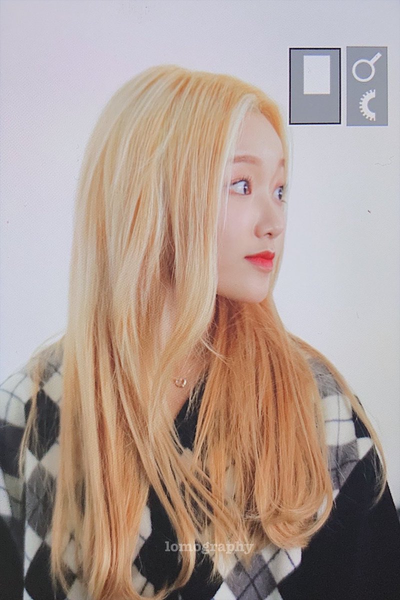 완전 쫑알쫑알 수다쥉 말티쥬
#고원 #이달의소녀 #GoWon #LOONA