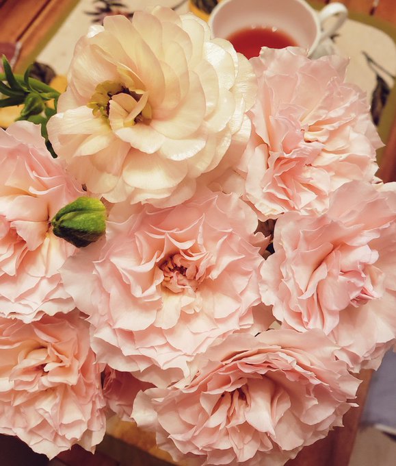 ラナンキュラスのtwitterイラスト検索結果