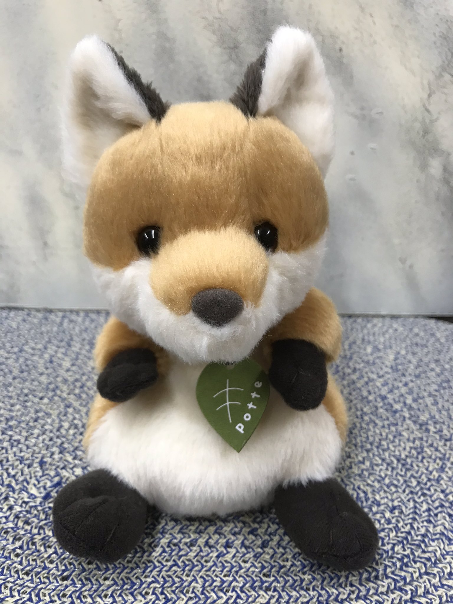 キタキツネ ぬいぐるみ AURORA 楽天市場】【ポイント2倍】ぬいぐるみ