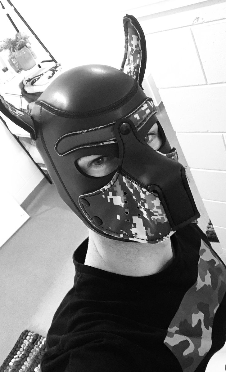 downunderffsub's tweet photo. Had a great night full of chastity, grunge pup play &amp; hard fucking... 😈🐕🐺🐶🐷 https://t.co/q0gI0bBedH