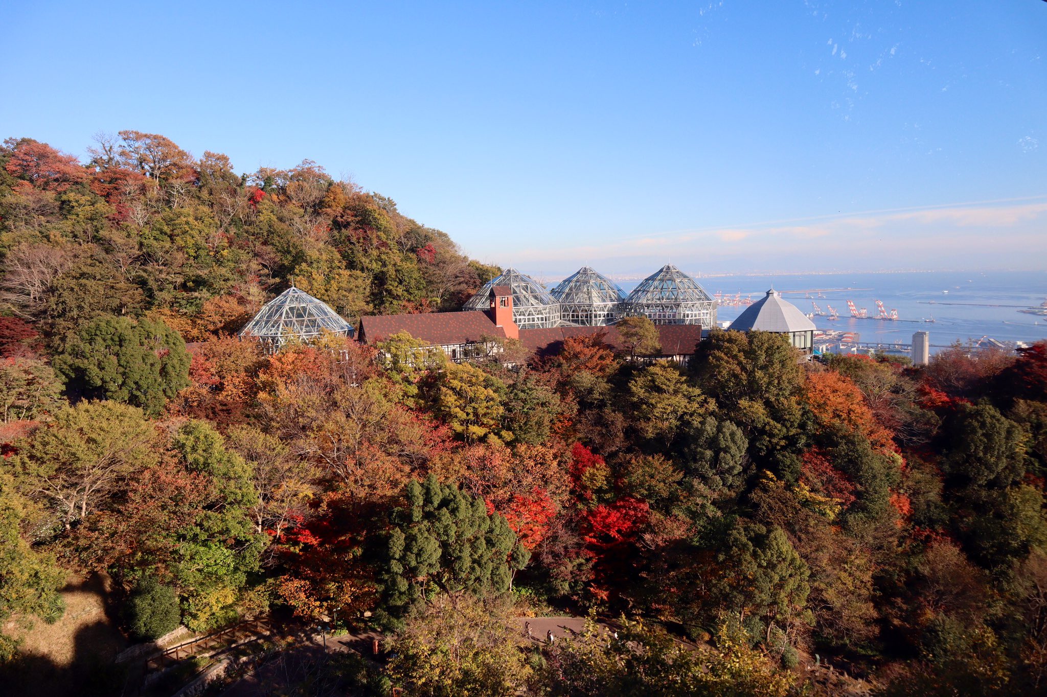 Clover 神戸 紅葉を見に布引ハーブ園へ 景色も紅葉も綺麗でした 神戸布引ハーブ園 神戸布引ロープウェイ 紅葉 Kobe 神戸 紅葉見頃 布引ハーブ園 ロープウェイ 秋晴れ T Co 0fzbxemwdf Twitter