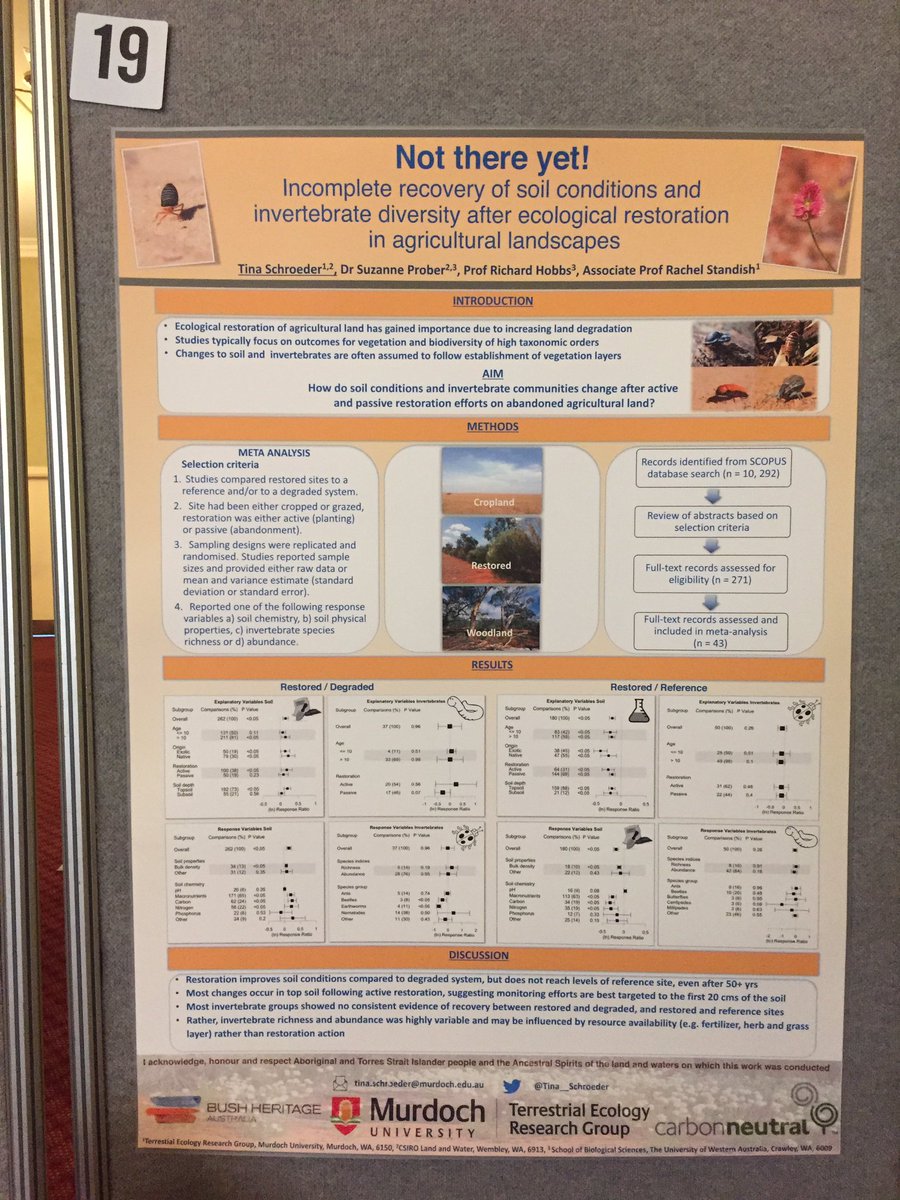 Not there yet! Global meta-analysis shows incomplete recovery after #ecologicalrestoration, come and chat to me at #ESAus19 poster session