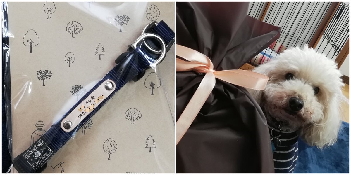 すず首輪製作工房