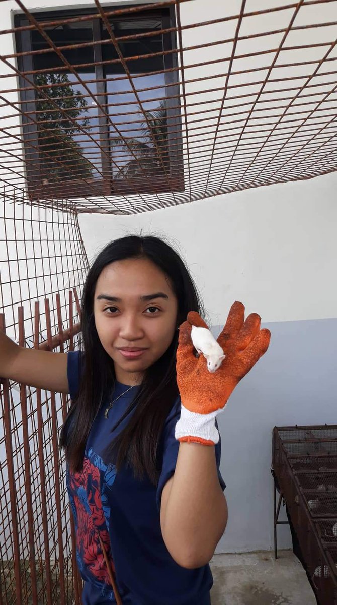 samanthafayeee_'s tweet image. #researchisfun #micelovers #nomicewereharmed