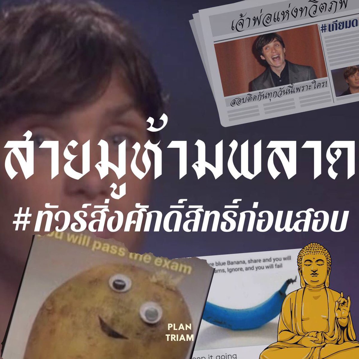 plantriamx844's tweet photo. สายมูฟังทางนี้!🔮✨
วันนี้พี่ๆ plantriam จะมานำเสนอ สิ่งศักดิ์สิทธิ์ในเตรียมอุดมศึกษา🙇🏻‍♀️💗
น้องๆสามารถนำดอกไม้หรือพวงมาลัยไปถวายกันได้ โดยเฉพาะเสด็จพ่อ ร.๕ ท่านโปรดดอ���กุหลาบสีชมพูเป็นพิเศษ🌹💗 #TU83 #TU84 #ออนดีมานด์ https://t.co/lvIcLU3qqh