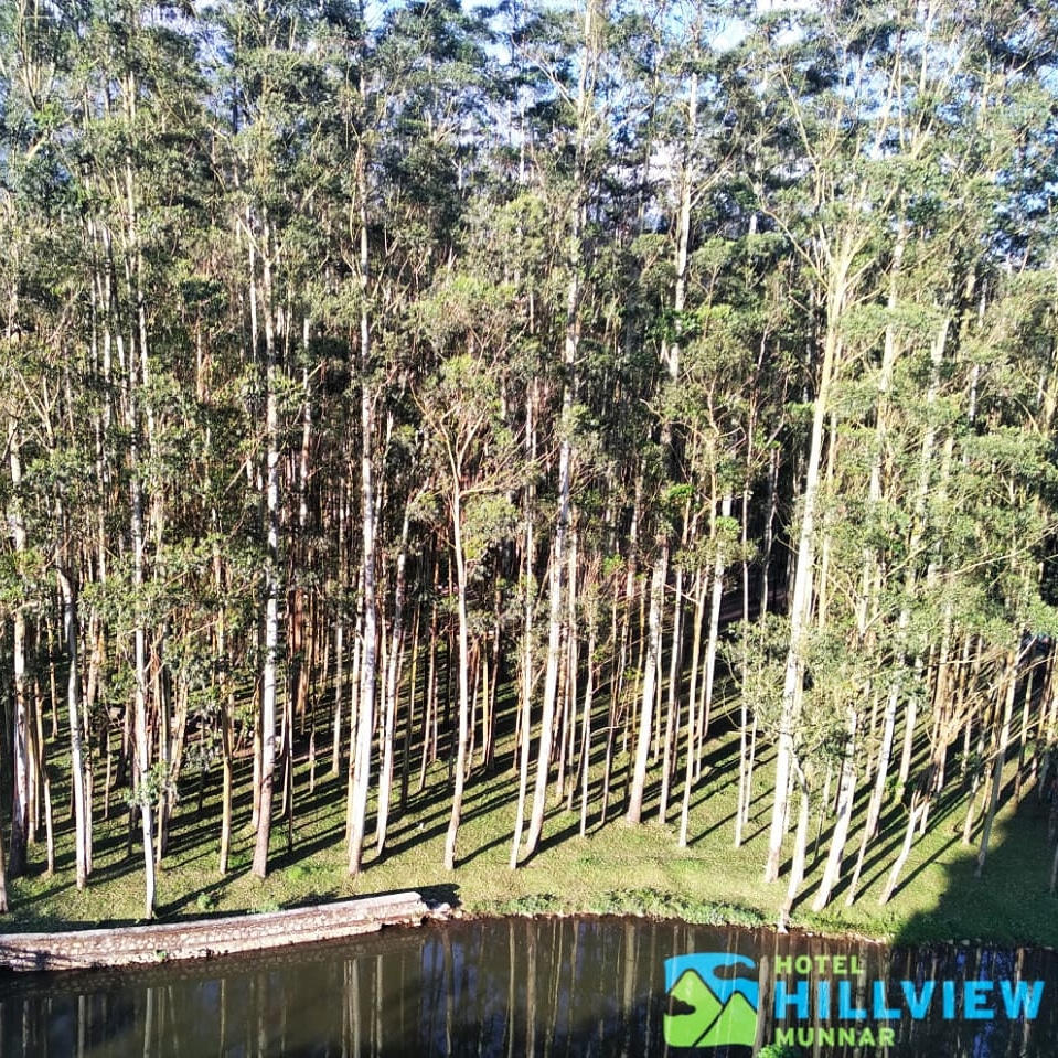 abhinav303's tweet photo. Today morning nice view from the hotel 
#hillviewmunnar 
#Munnar
#KeralaTourism
#ShowcaseMunnar 
#VisitMunnar 
#RealMunnar
#SMARTMunnarhotels
#honeymoondestination 
#Hillstationholiday https://t.co/3vJ8NbJDZi