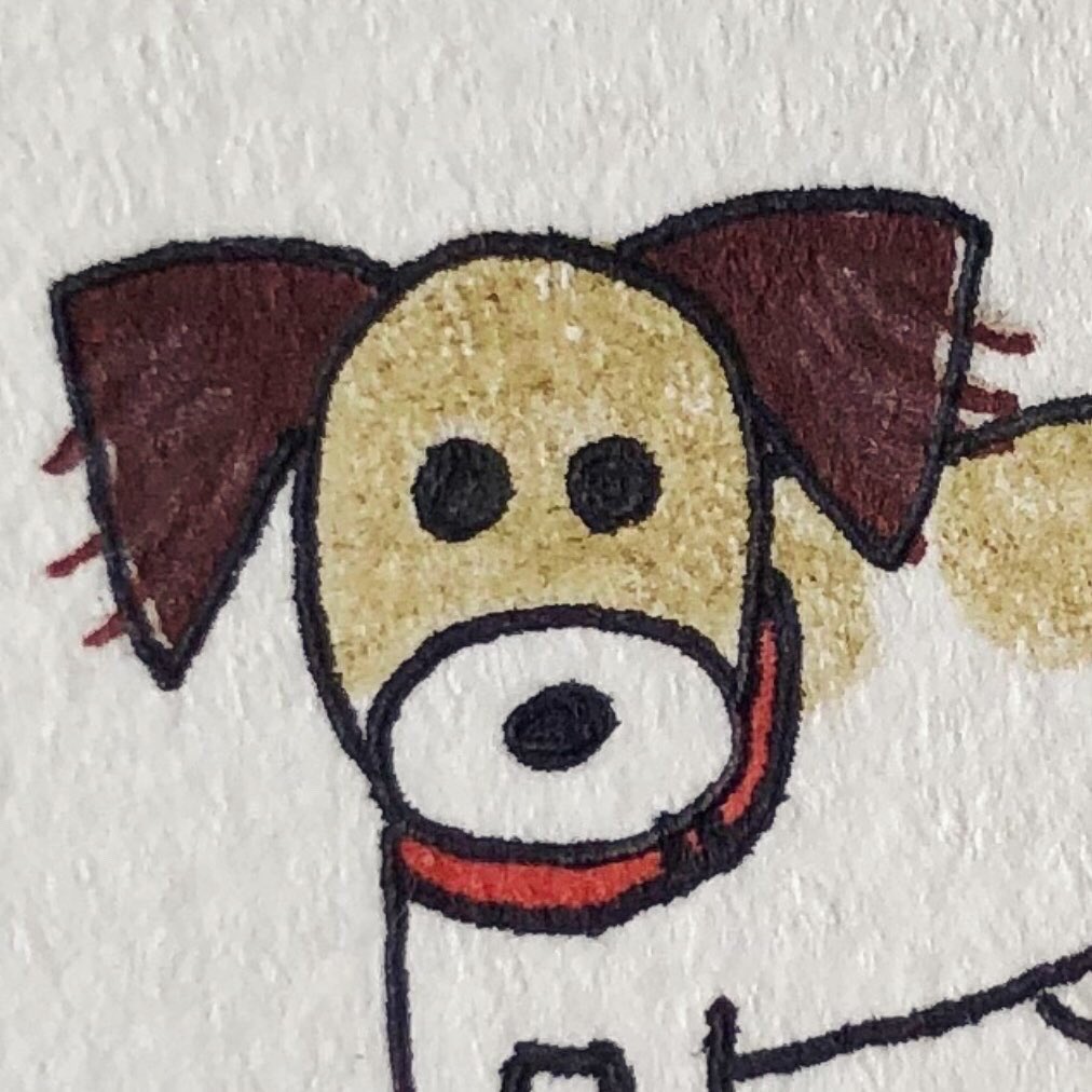 トトエリ Totoeri בטוויטר ロン毛 最近 耳の飾り毛が長くなってきたトト パピヨンになるのかなぁ ロン毛のトトちゃんも可愛い このままツインテールを目指しましょう Jackrussellterrier Jackrussell Jrt ジャックラッセルテリア ジャックラッセル