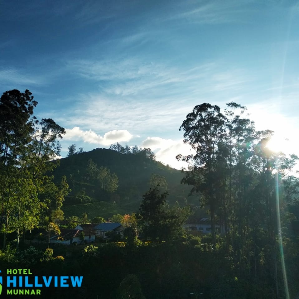 abhinav303's tweet photo. Today morning nice view from the hotel 
#hillviewmunnar 
#Munnar
#KeralaTourism
#ShowcaseMunnar 
#VisitMunnar 
#RealMunnar
#SMARTMunnarhotels
#honeymoondestination 
#Hillstationholiday https://t.co/BA7ZFi8Omd