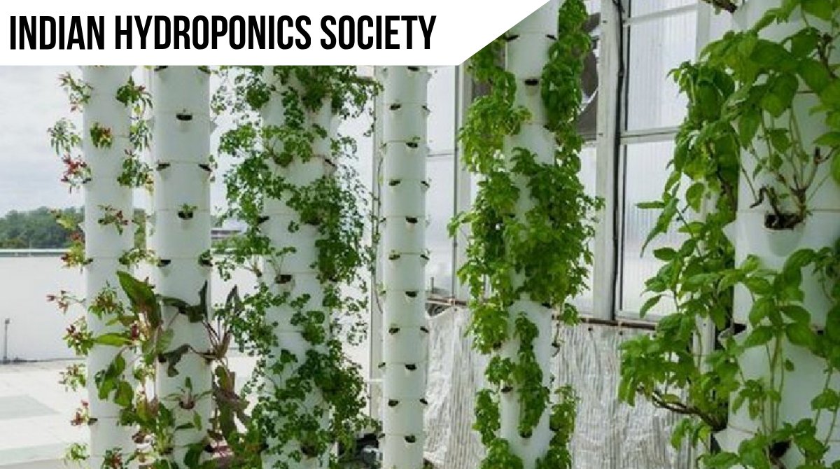 _agrijoy's tweet photo. Vertical farming also uses less water, grows plants faster, and can be used year-round.
#hydroponics #indianhydroponics #ihs #indianhydroponics #hydroindia #organic #farm #fresh #hydroponic #verticalfarm #India https://t.co/0FOlMItLuY