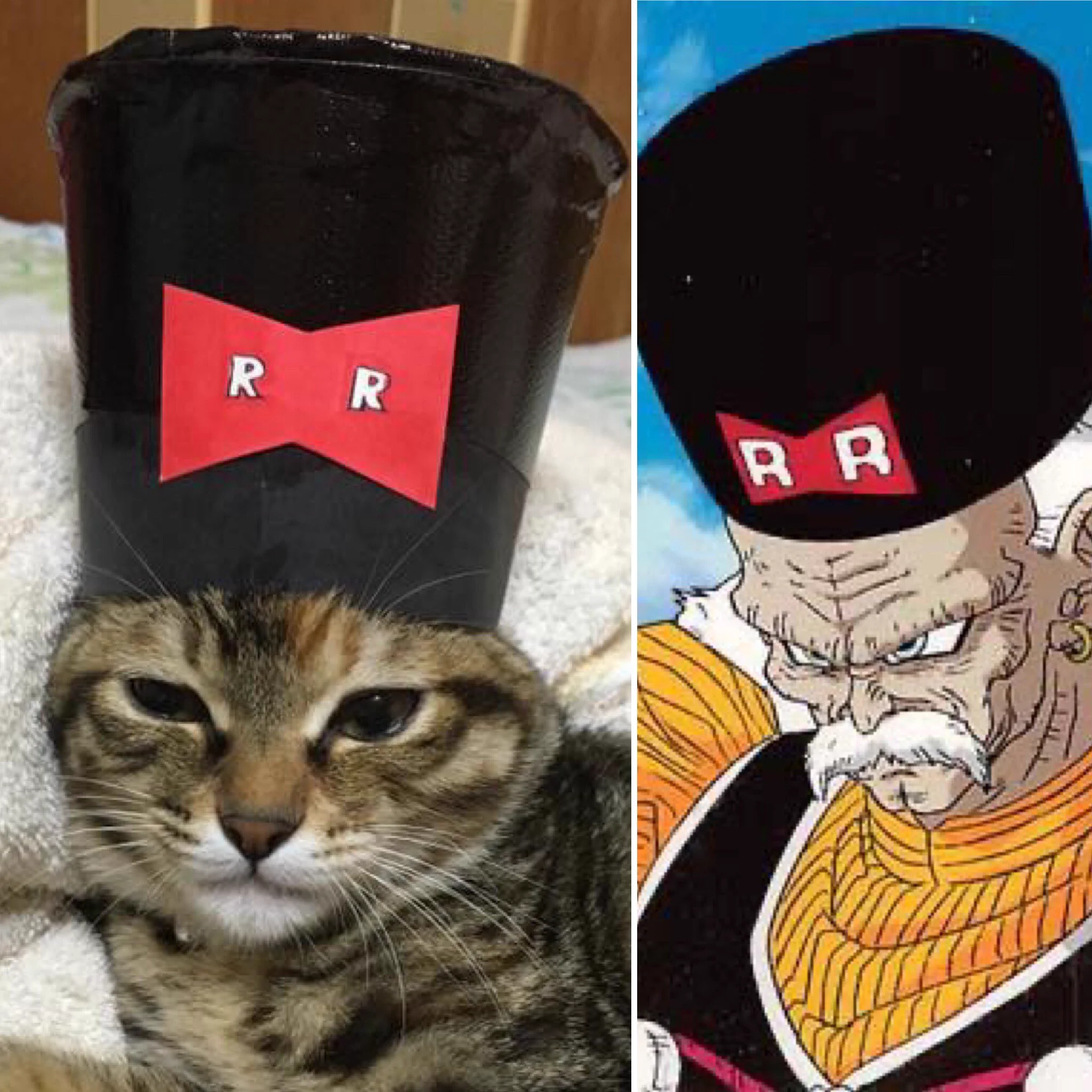 @r2d2c3poacco @nanowhowa うちはコレです😅💦 