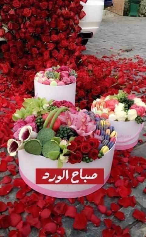 ابن العراق (@edmfep2hxobl009) on Twitter photo 