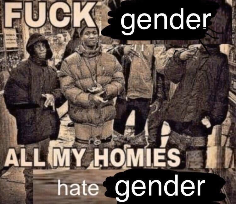 fuck gender all my homies hate gender.