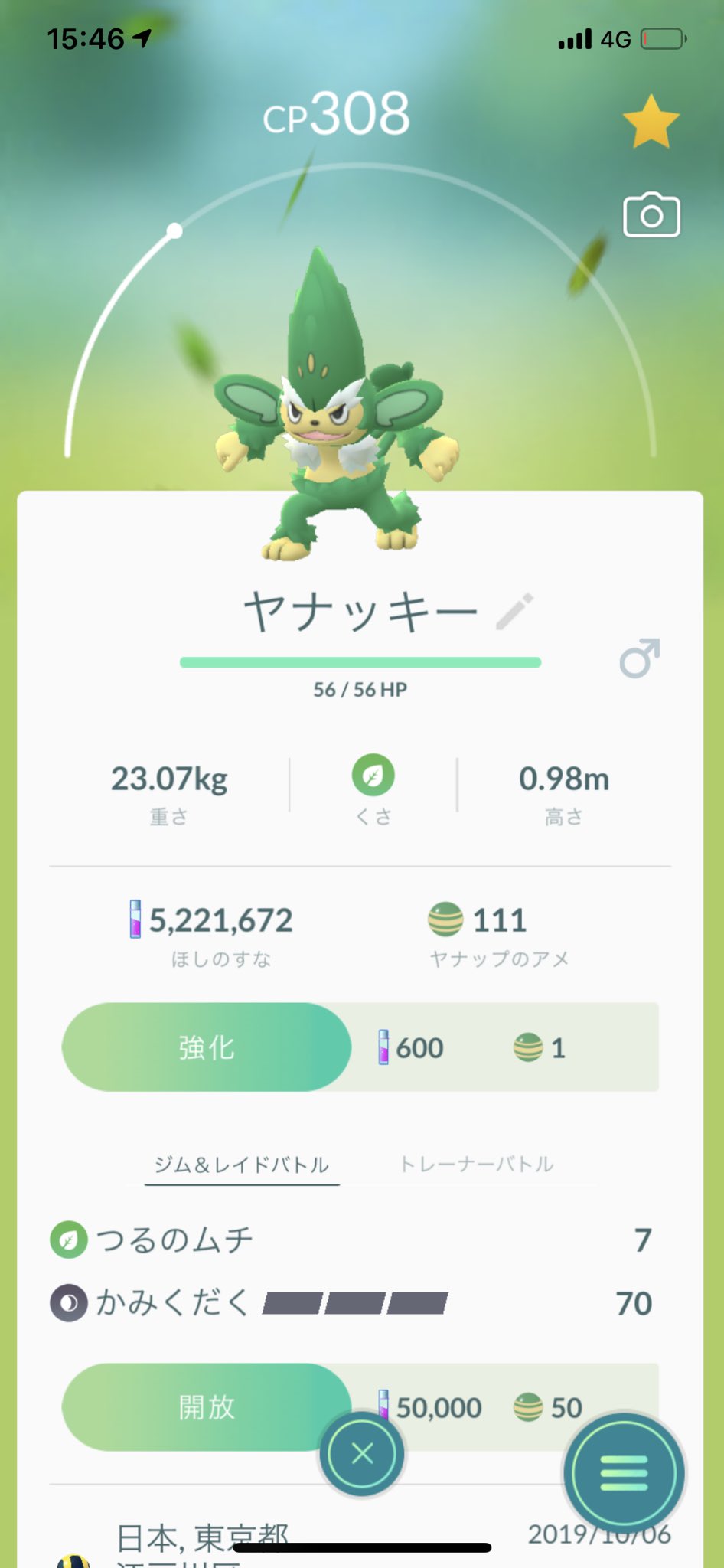 猫の飼い主 ポケモンgo ヤナップをヤナッキーに進化させた T Co 93dehxyx7i Twitter