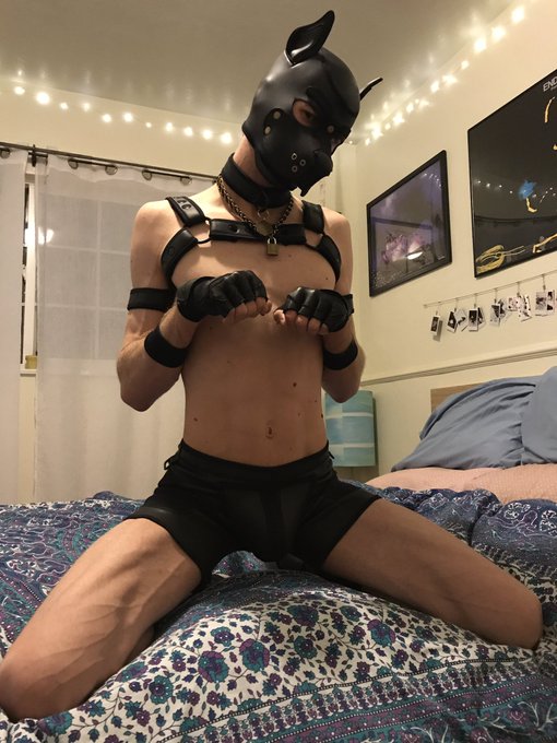 ✨1️⃣ 0️⃣ 0️⃣ 0️⃣ ✨ https://t.co/aPRMRN0pJj