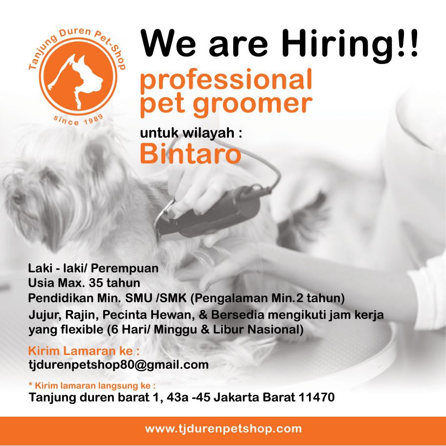 Pet Grooming Jobs Hiring Near Me pet-grooming-jobs-hiring-near-me