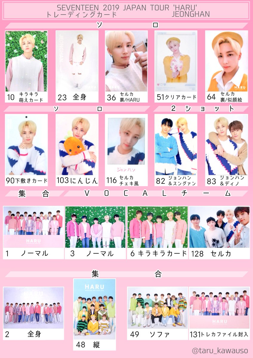 ジョンハン トレカ SuperStarPledis セブチ seventeen