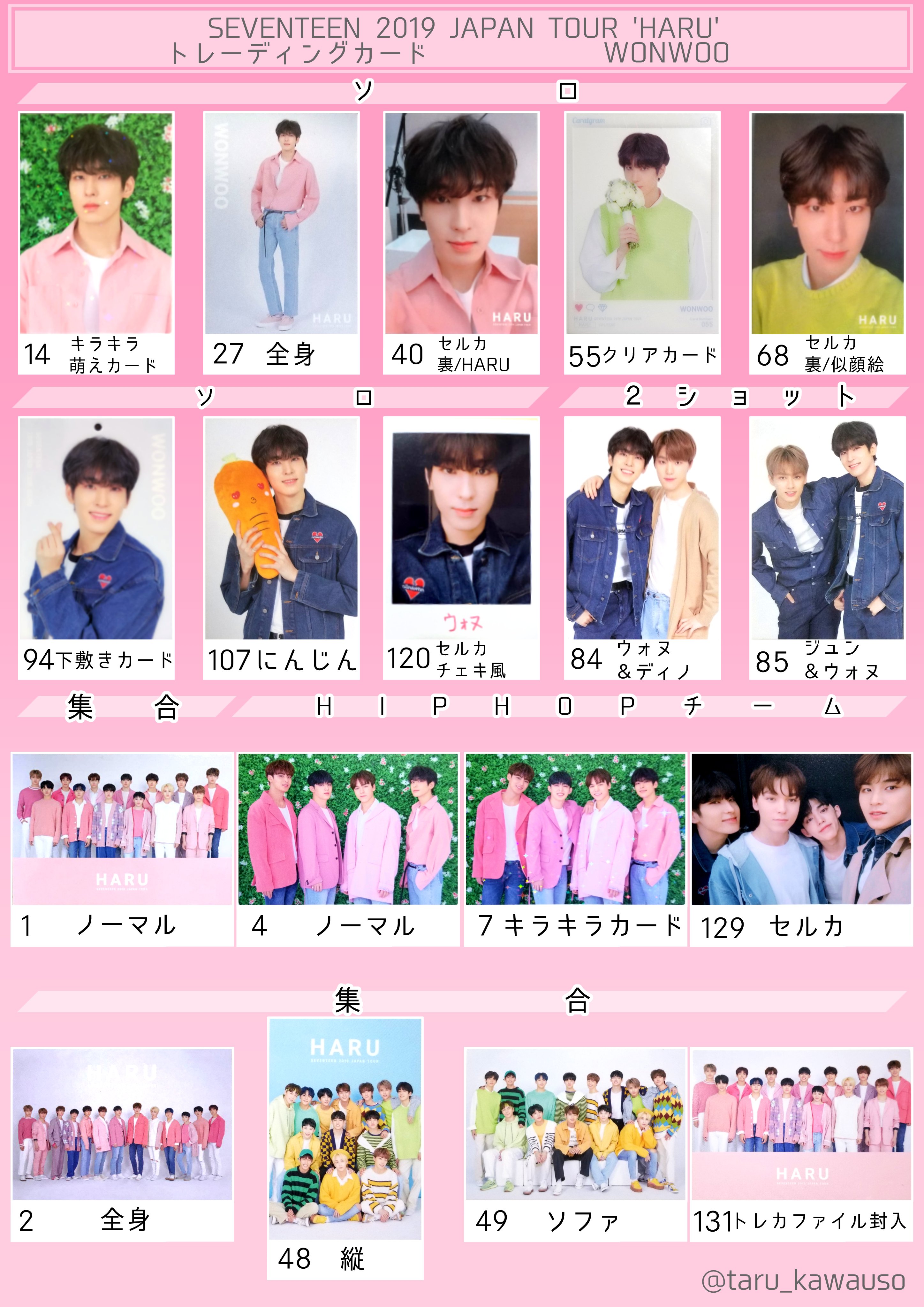 SEVENTEEN セブチ ウォヌ ハルコン HARU トレカ ソロ コンプ