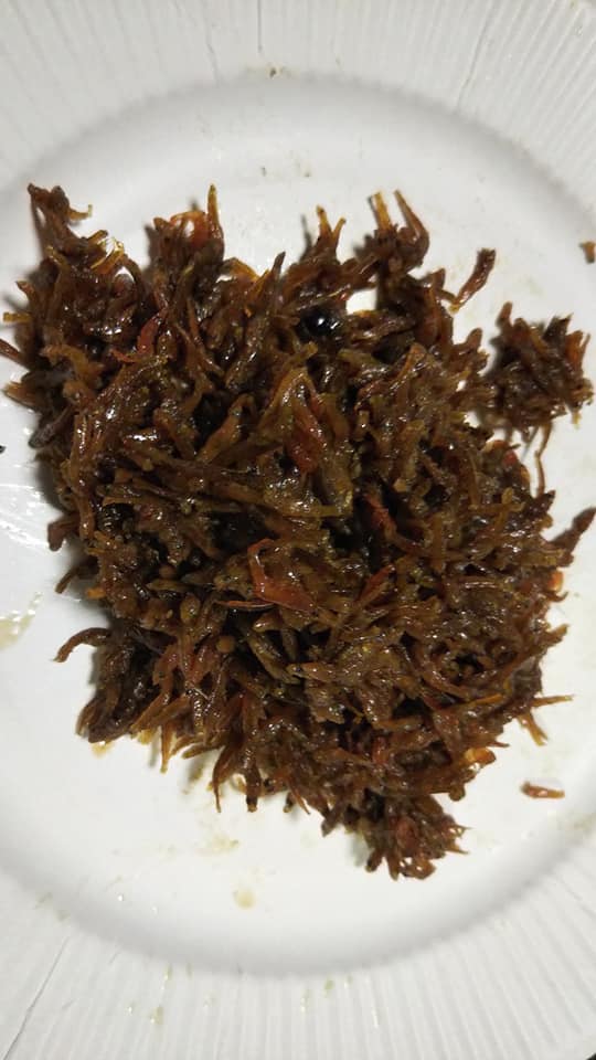 たぬきやままゆ ゴリとイサザの佃煮 酒は静岡 島田 の鬼乙女 涙 ちなみに鬼乙女は季節酒で夢 恋 幸 涙があるのです おんな泣かせを作ってる酒造場