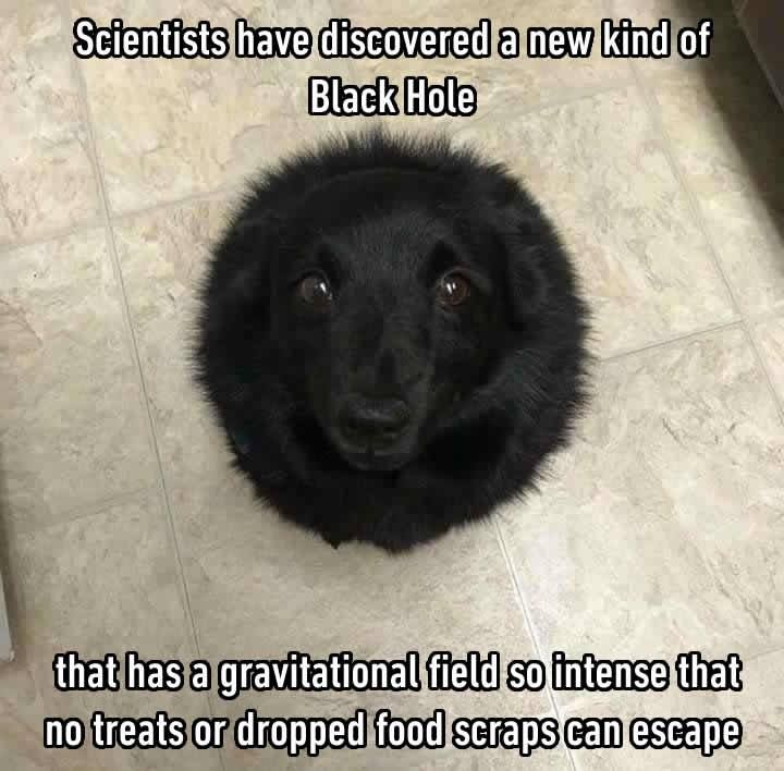 Trust me, I'm a "Biologist" tweet media