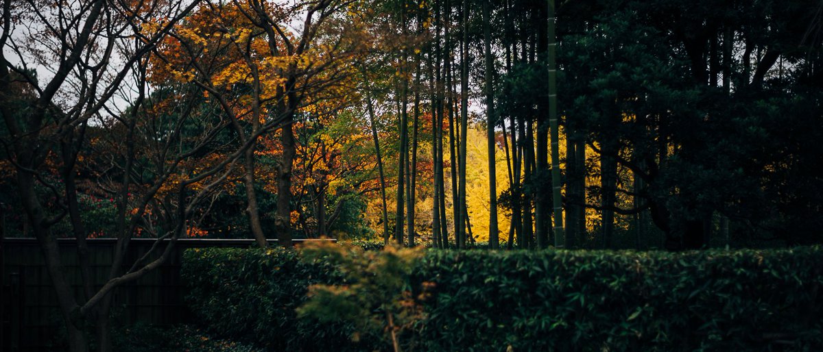 昭和記念公園よくばりセット2 