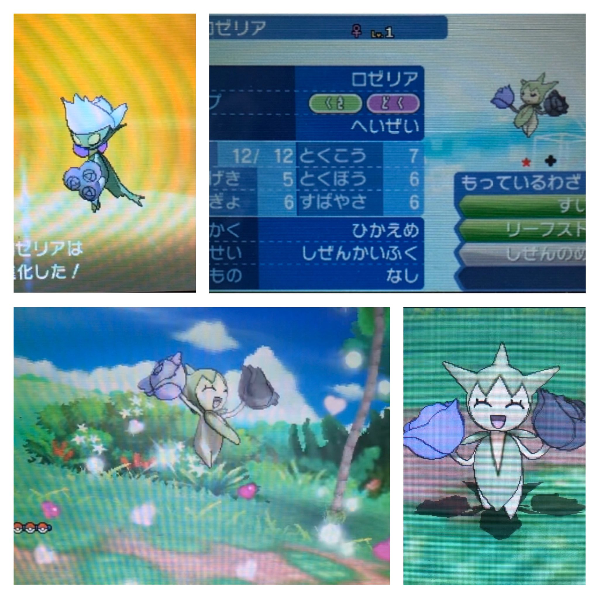 ぜいぽん 剣盾の色違いを粘っている人もいる中 自分はusumでロゼリアの色違いを出しました ロズレイドは自分が一番好きなポケモンです Usum最高 色違い 色違いポケモン T Co Dviehivfdh Twitter