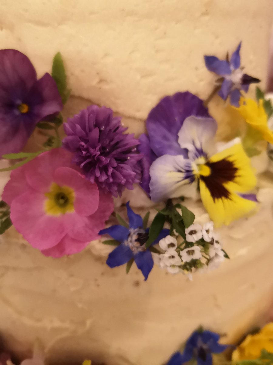 Truly, truly Scrumptious birthday cake created by          @LilibetsSouthport for my daughter, Amy's, 21st;  finished off with end of season blossoms from Mrs B's #edibleflowers #blossoms #birthdaycake #nakedcakes #cake #cakedecorating #supportlocal #buylocal