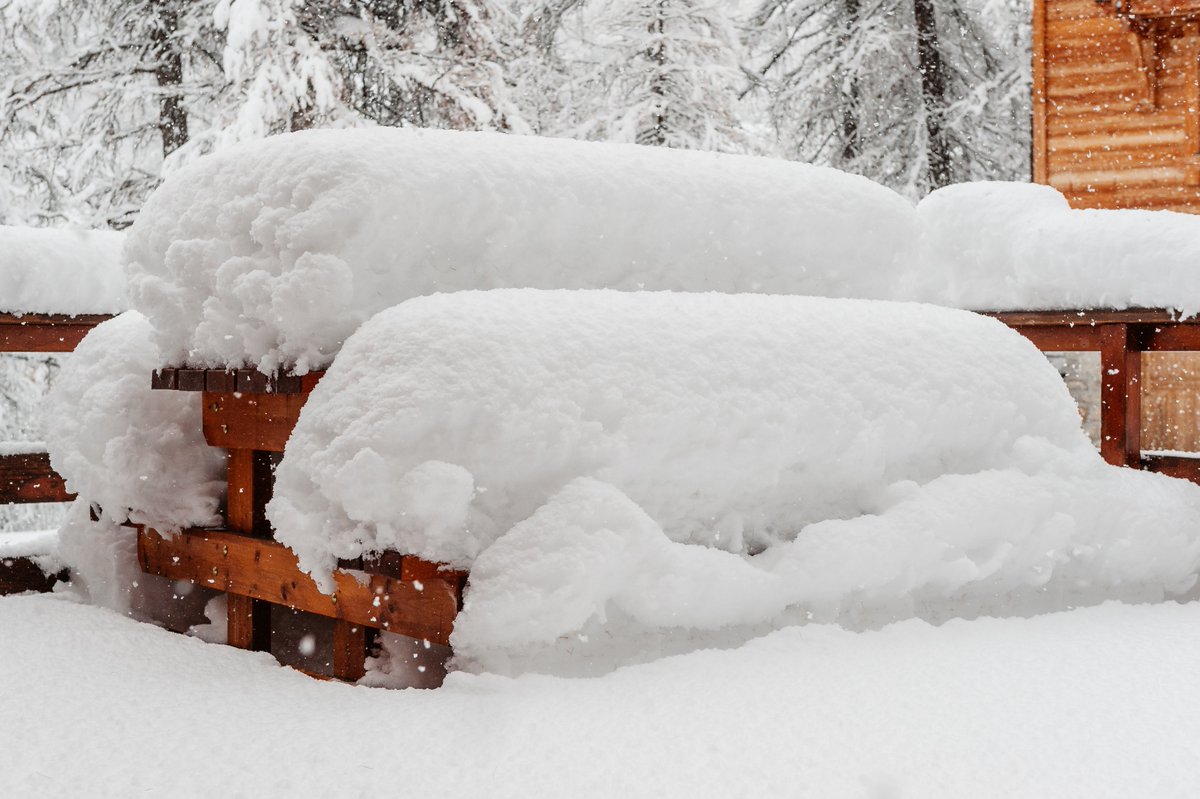 Vars La Forêt Blanche tweet media