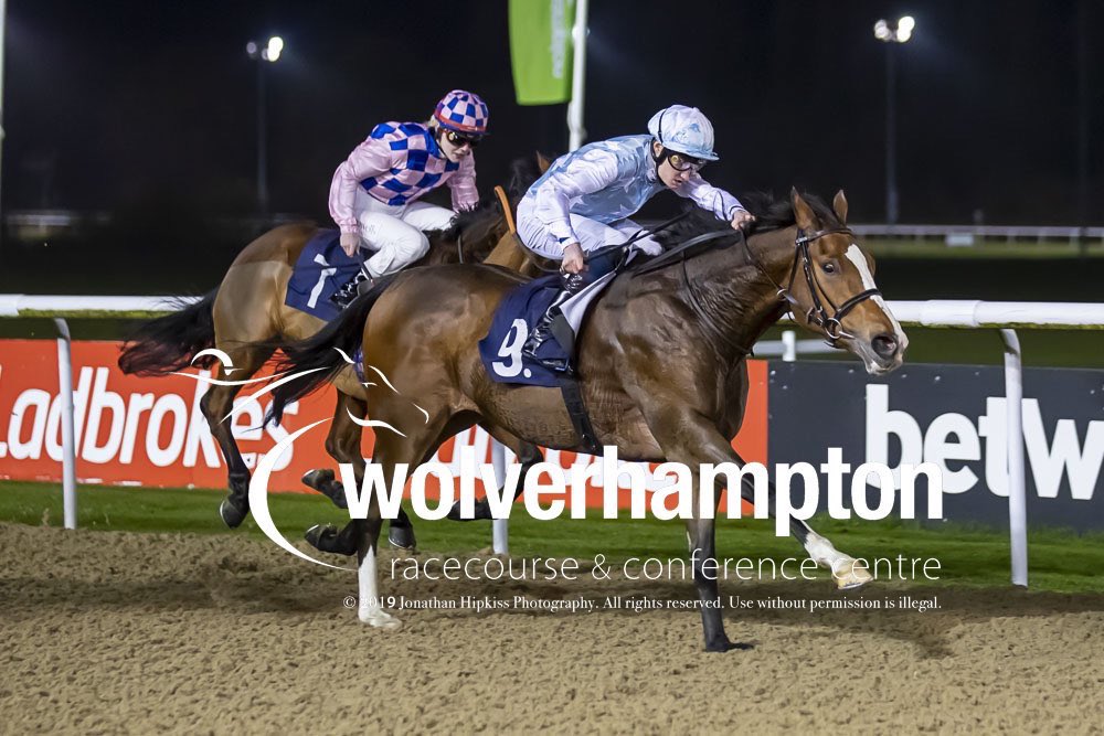 mcstayagent's tweet image. Delighted to see Inteldream win again for trainer @MarcoBotti and owners Fabfive! An @AvenueBstock purchase @GoffsUK breeze up from @LynnStud! #progressing #winners👍