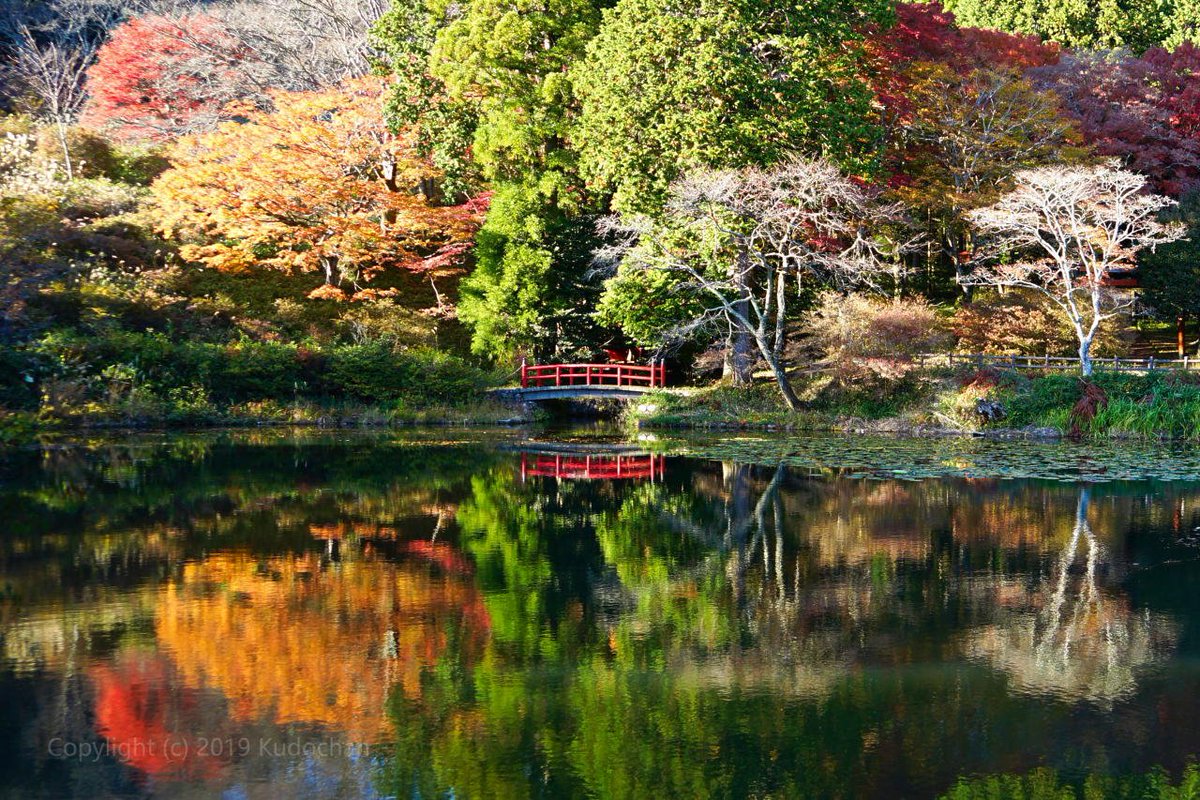 Kudochan 水鏡が綺麗な鳥見山公園 春はつつじや桜 今は紅葉が綺麗です 紅葉 鳥見山公園 Kudochan 水鏡が綺麗な鳥見山公園 春はつつじや桜 今は紅葉が綺麗です 紅葉 鳥見山公園