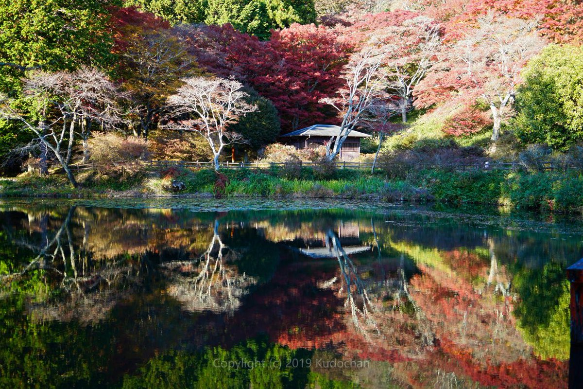 Kudochan 水鏡が綺麗な鳥見山公園 春はつつじや桜 今は紅葉が綺麗です 紅葉 鳥見山公園 Kudochan 水鏡が綺麗な鳥見山公園 春はつつじや桜 今は紅葉が綺麗です 紅葉 鳥見山公園
