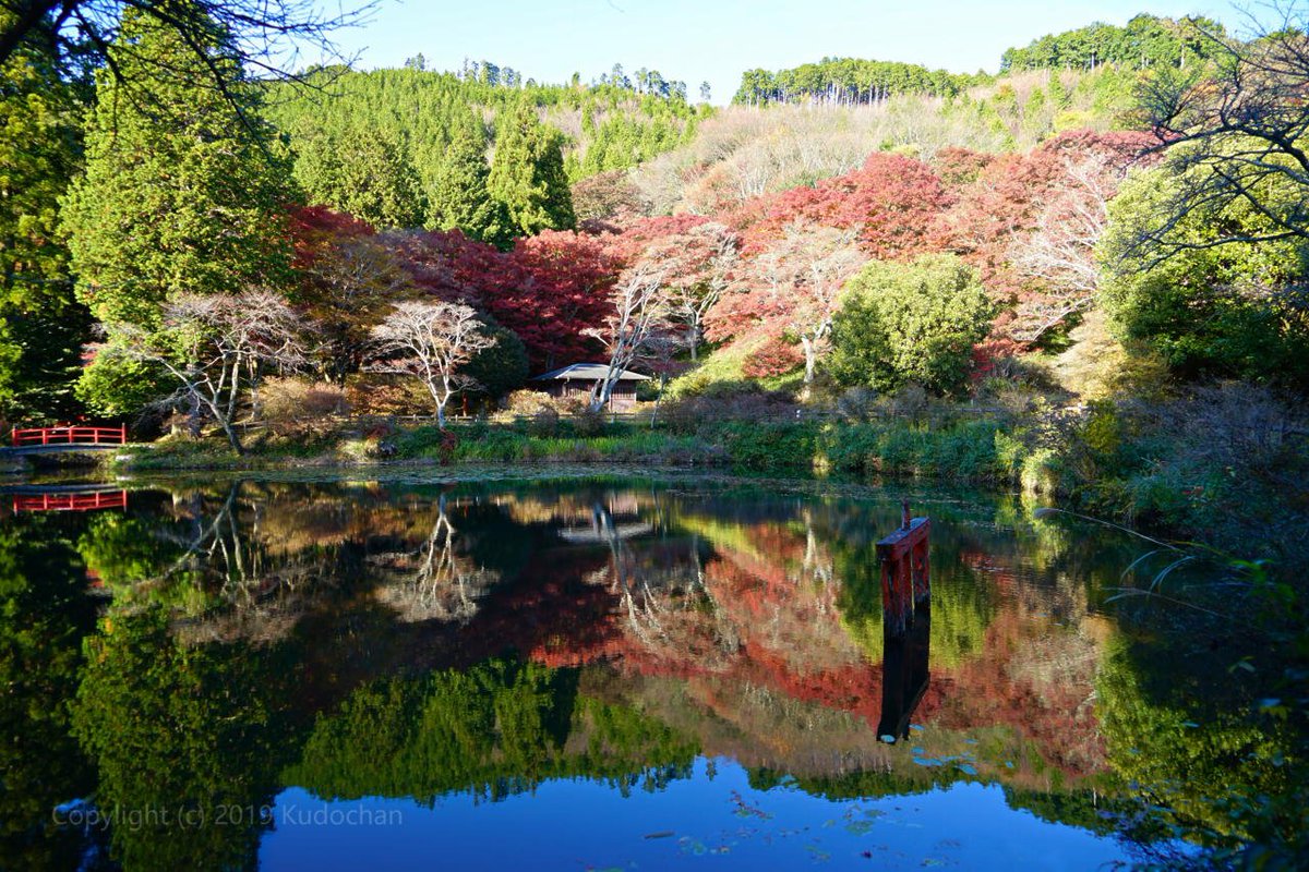Kudochan 水鏡が綺麗な鳥見山公園 春はつつじや桜 今は紅葉が綺麗です 紅葉 鳥見山公園 Kudochan 水鏡が綺麗な鳥見山公園 春はつつじや桜 今は紅葉が綺麗です 紅葉 鳥見山公園