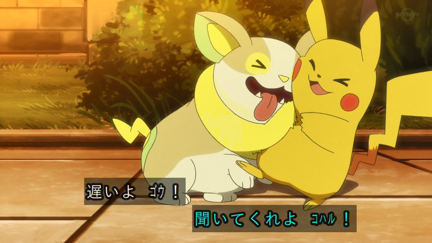 と ずん こらこらはしゃぐなはしゃぐなｗｗｗ Anipoke Pokemon アニポケ T Co 7cfnjgogvs Twitter