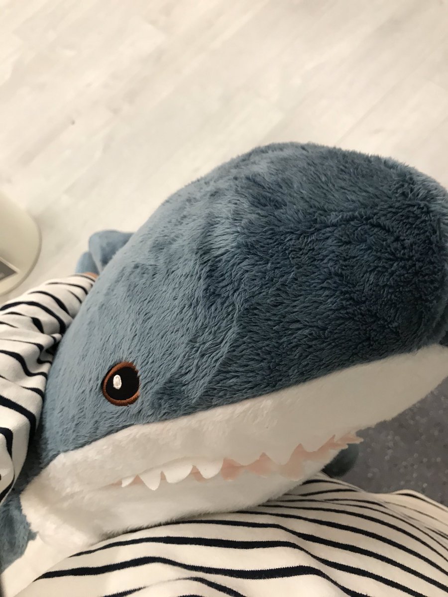 バツ Ikea長久手にてikeaのサメさんを発見 55cmと100cmのがいるんだね 悩んで大きいのを買いました イケアシャーク Ikea長久手