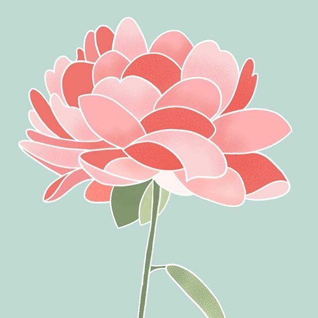 TheColorBee's tweet image. Flower doodle for today ... I think this is a peony? ift.tt/34s6yNK
