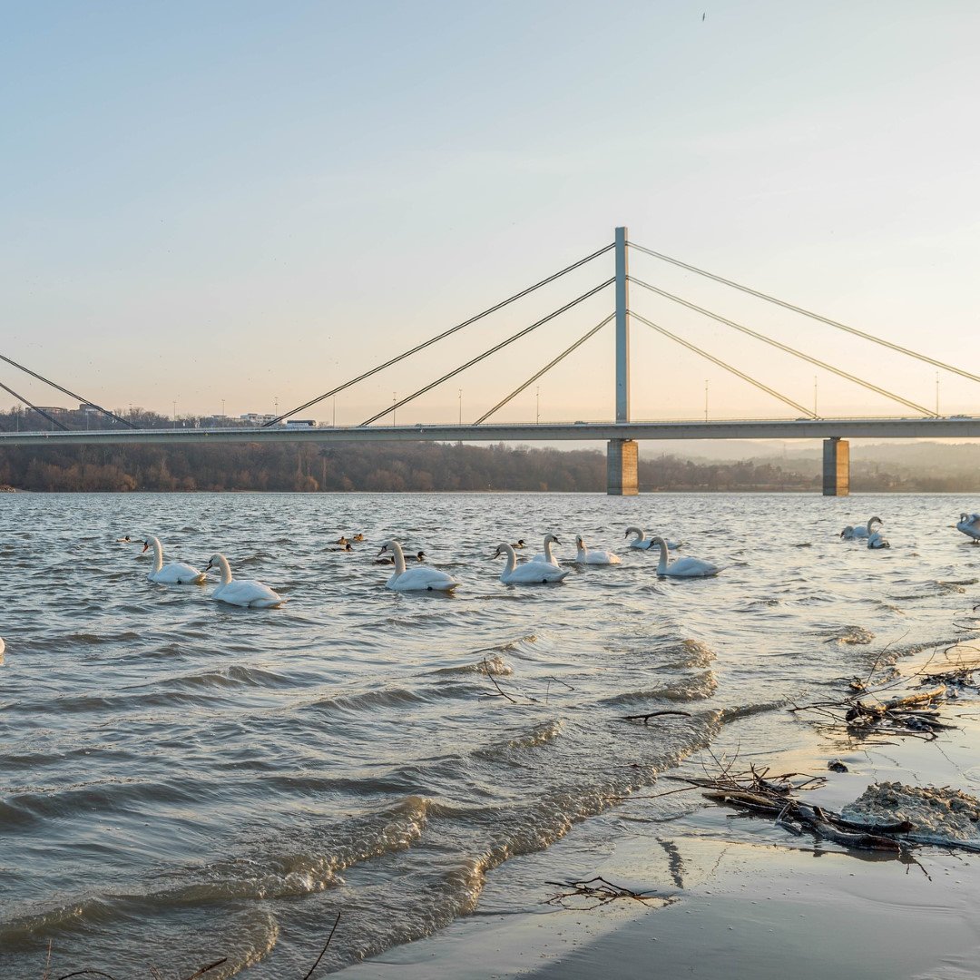 instagram.com/p/B5KlKnbl5A_/

#novisad #travel