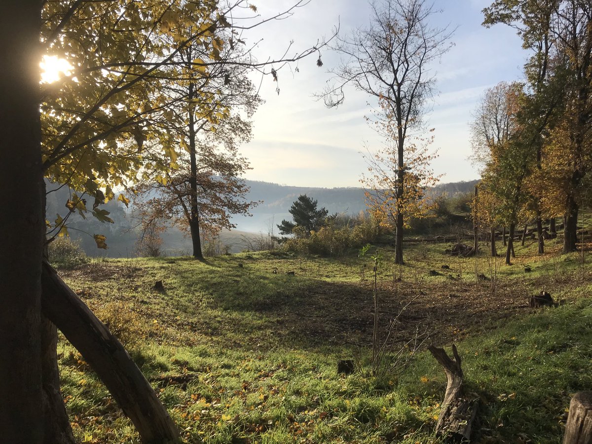 Frank Wassenberg tweet media