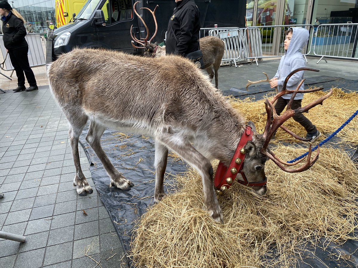 JingleJog's tweet photo. Excited that some of Santa’s actual Reindeers could join us today for the #JingleBeeJog! 🦌 🎅 @MediaCityUK #MCUKChristmas https://t.co/GJeyWkHiH0