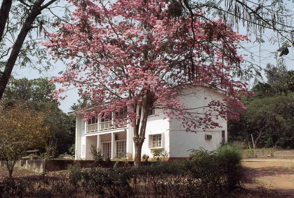 YorubaHistory's tweet photo. Isoun House at the University of Ibadan, December 1977

photographer Lillian Trager

#Yoruba

© University of Wisconsin-Madison Digital Library https://t.co/s53vn8v8Uk