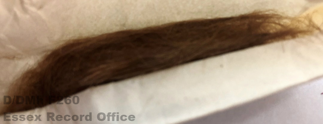 bundle of brown hair